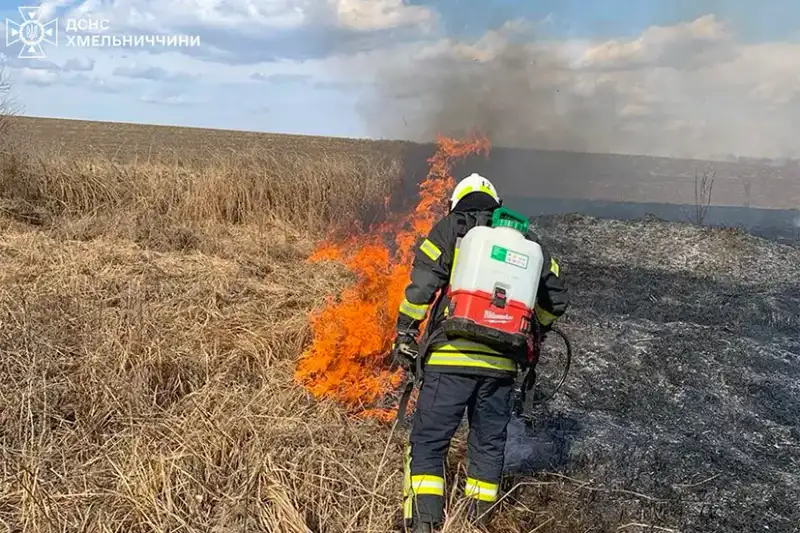 Пожежі на Хмельниччині: горіли будинки, автомобілі та екосистема