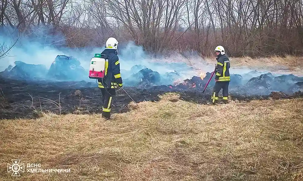 На Хмельниччині за добу горіли авто, господарча споруда та сухостій